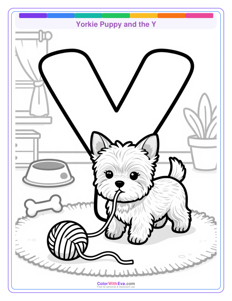 Yorkie Puppy and the Y preview