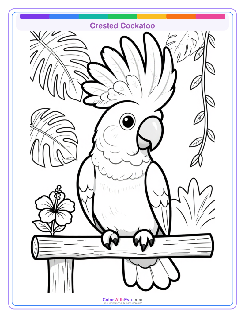Crested Cockatoo preview