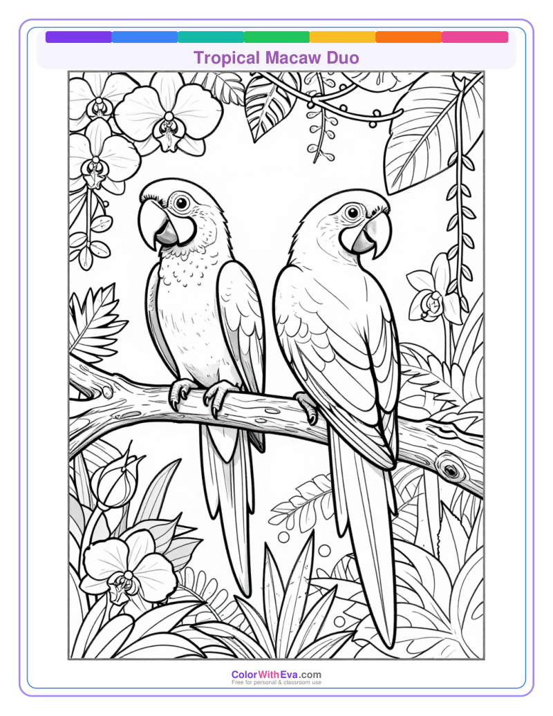 Tropical Macaw Duo preview