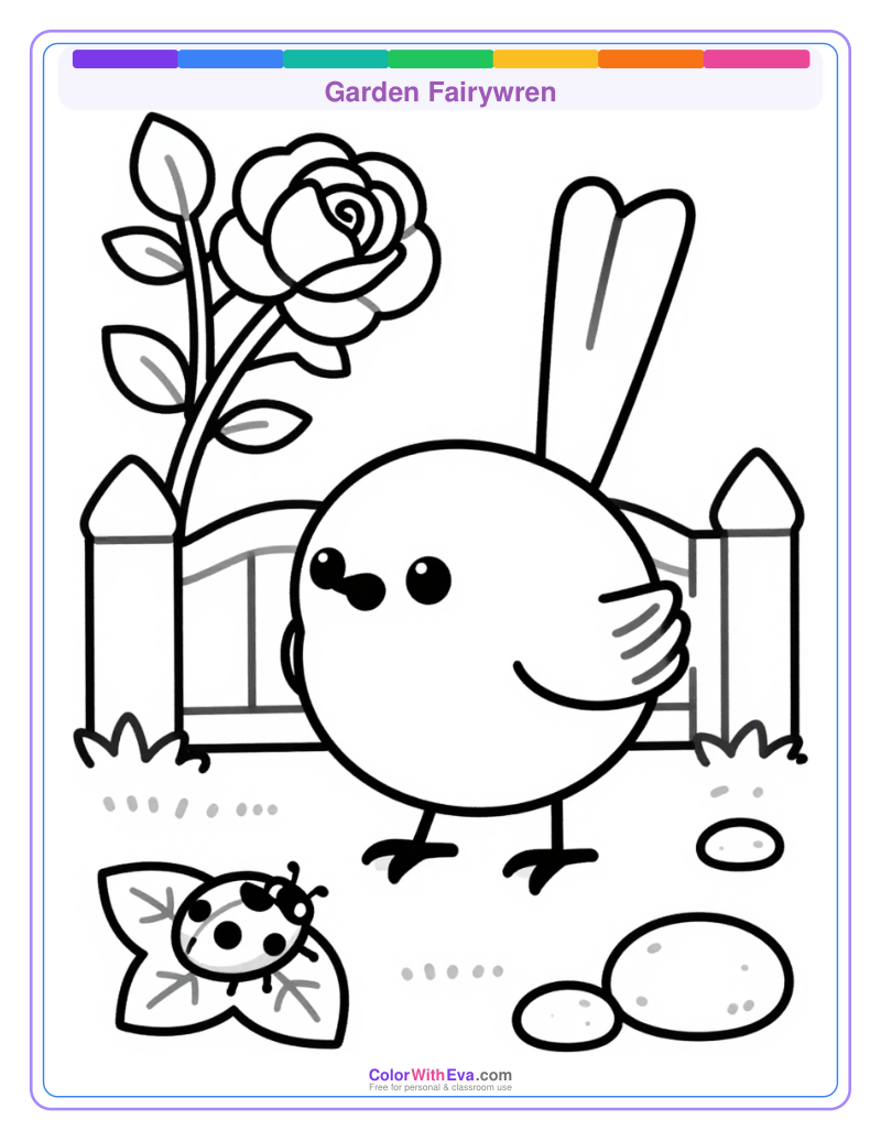 Garden Fairywren preview