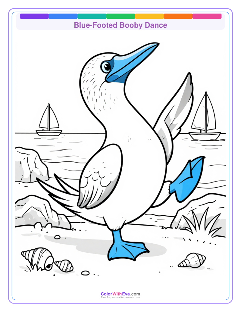Blue-Footed Booby Dance preview