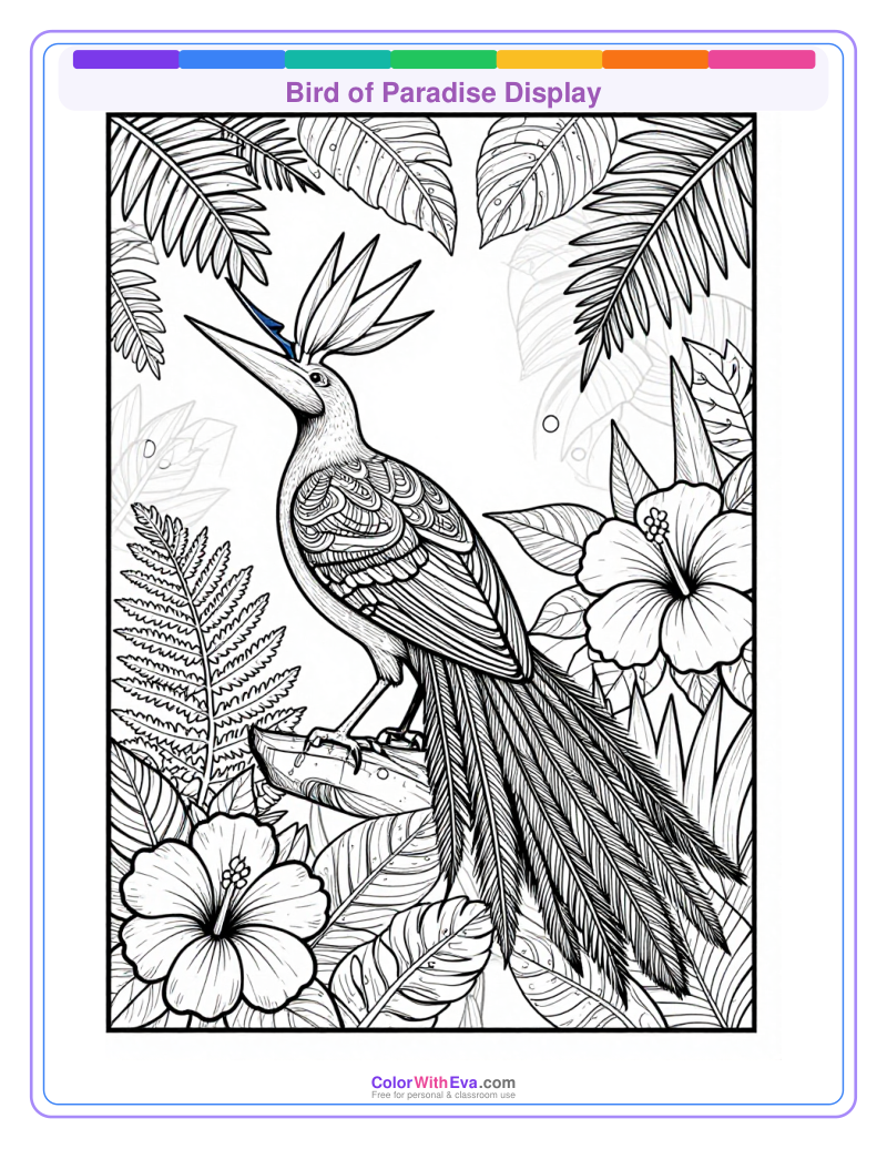 Bird of Paradise Display preview