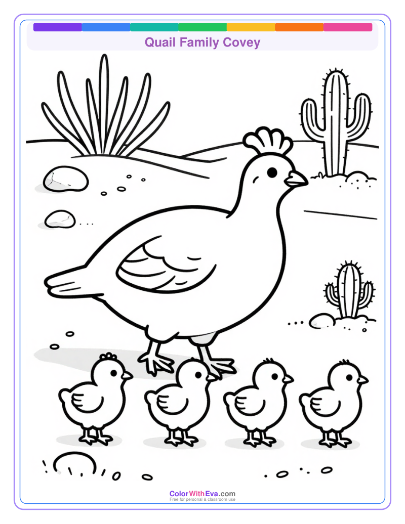 Quail Family Covey preview