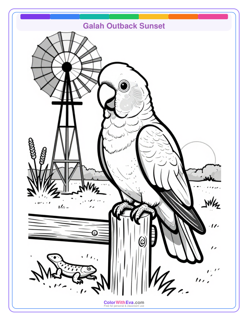 Galah Outback Sunset preview