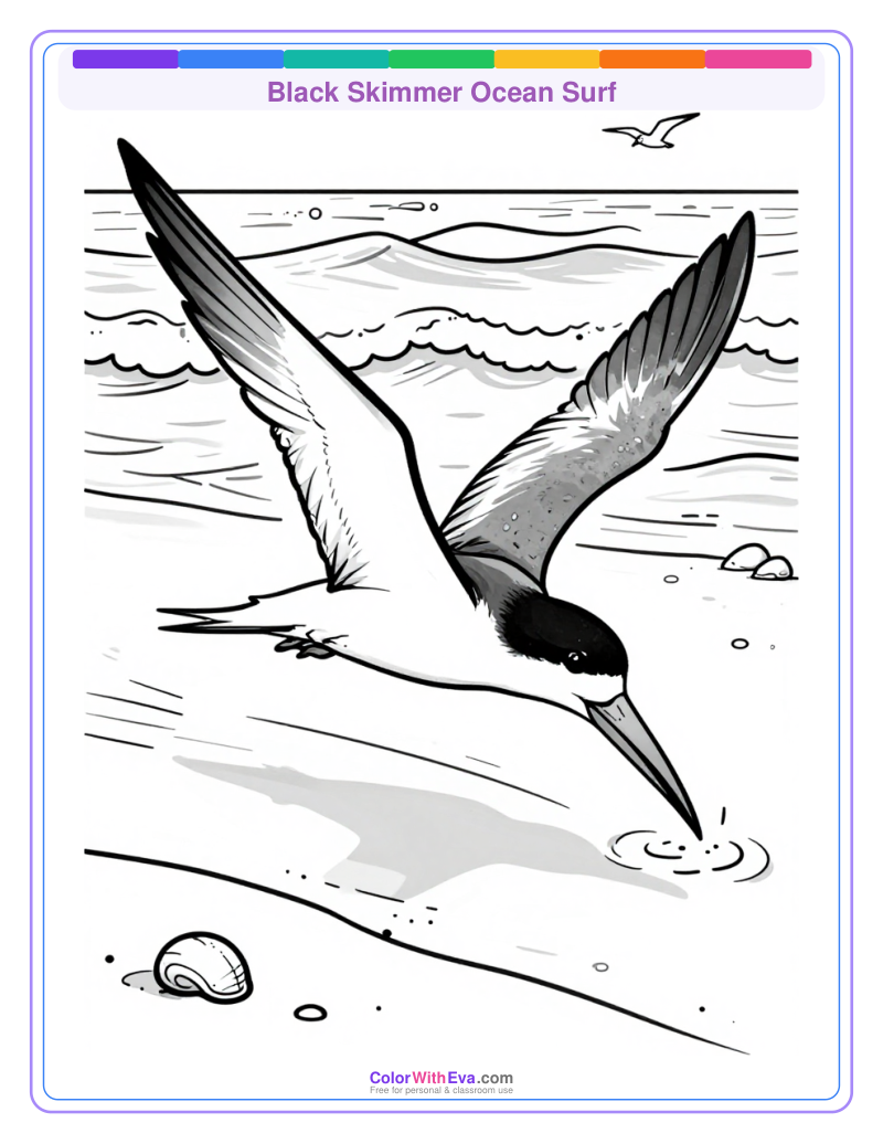 Black Skimmer Ocean Surf preview
