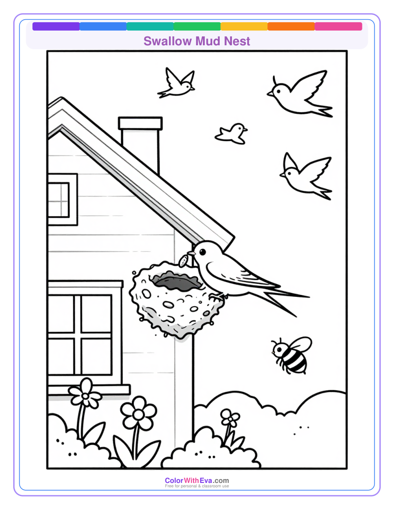 Swallow Mud Nest preview