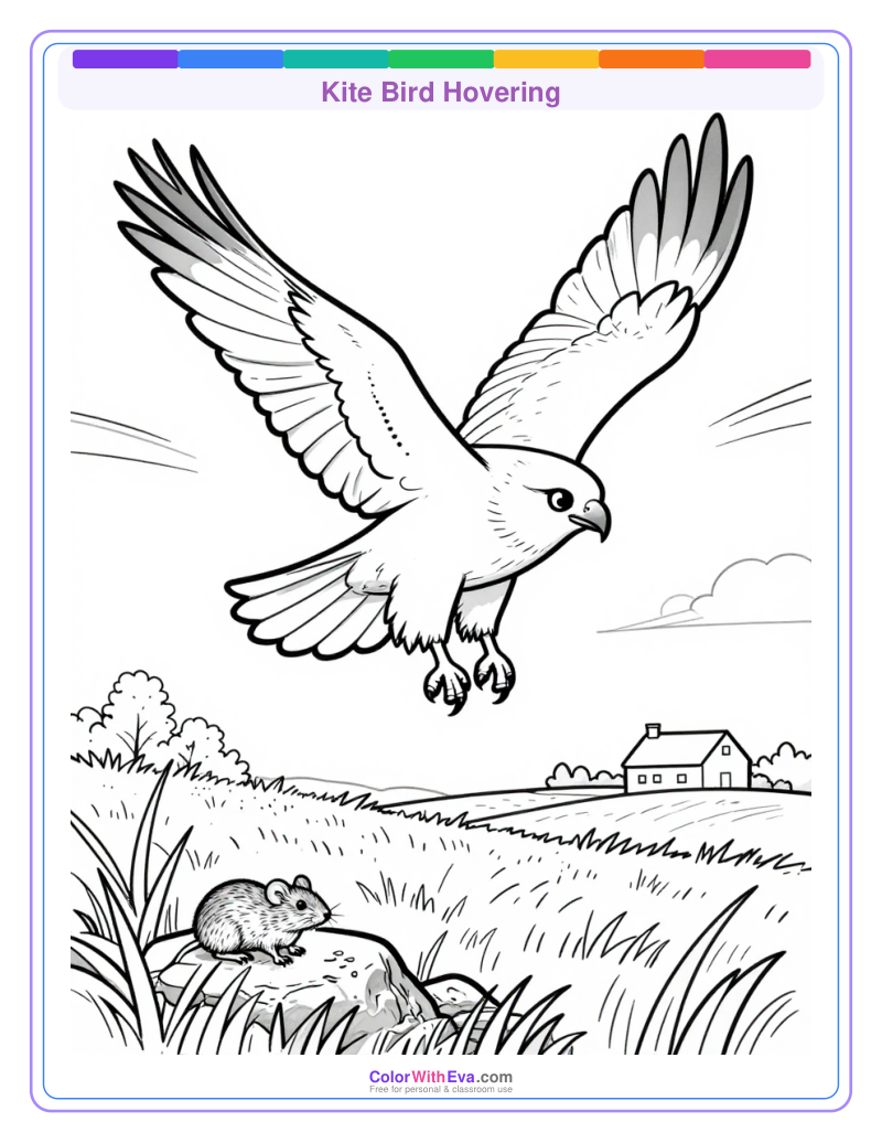 Kite Bird Hovering preview