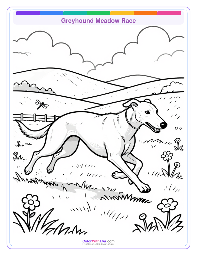 Greyhound Meadow Race preview