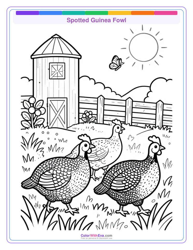 Spotted Guinea Fowl preview