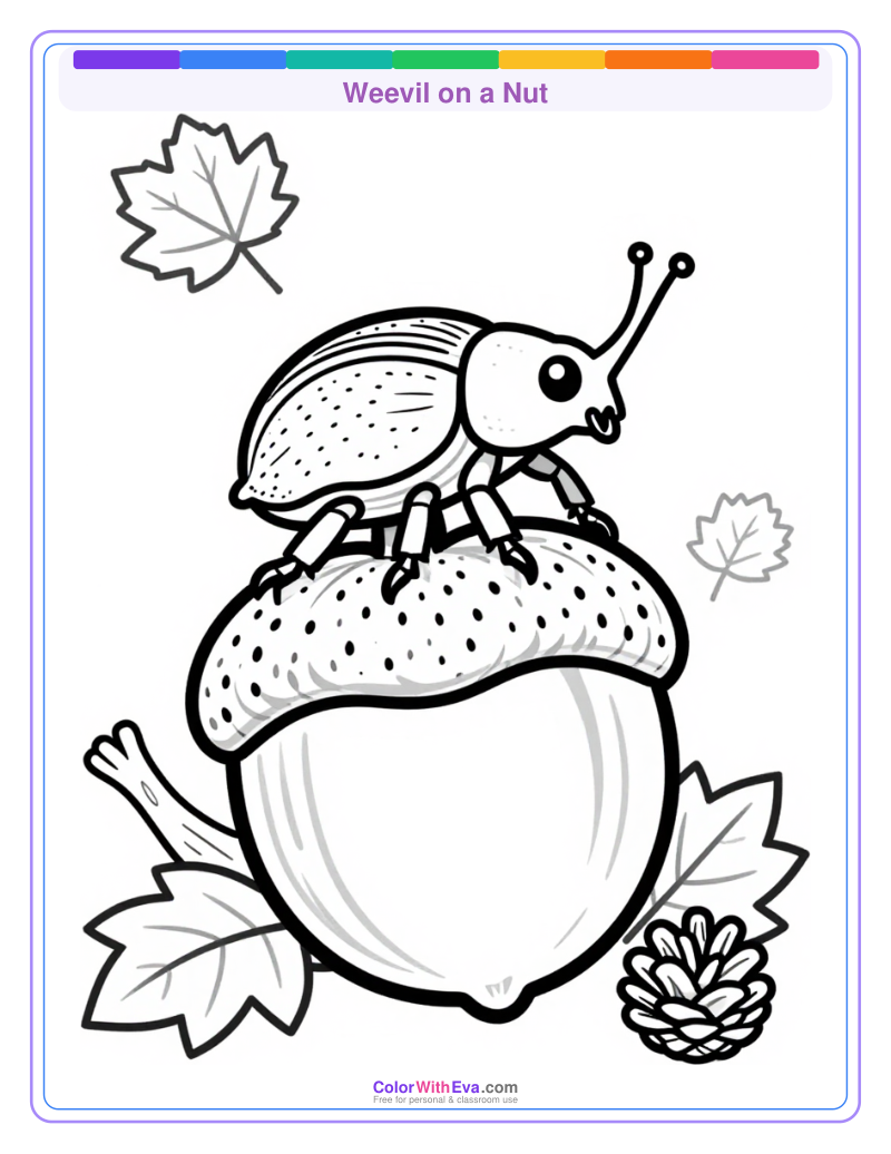 Weevil on a Nut preview