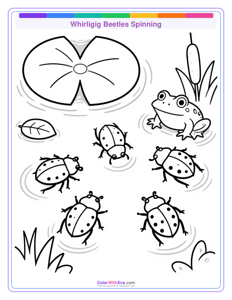 Whirligig Beetles Spinning preview