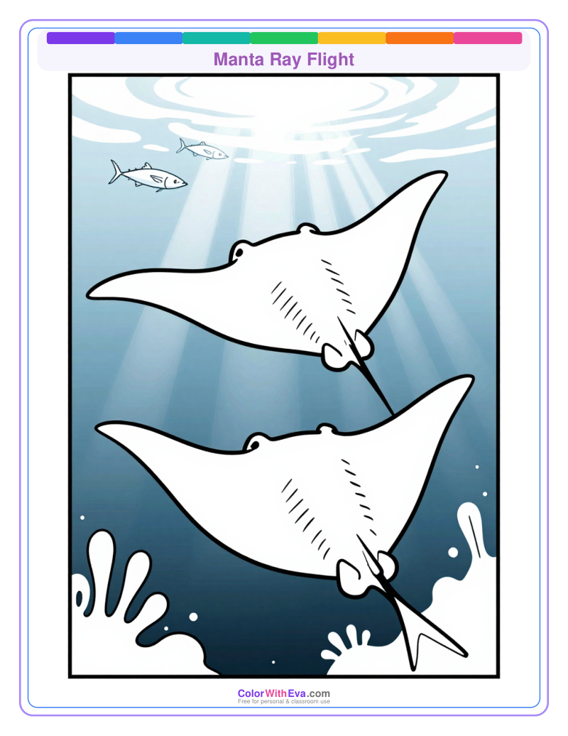 Manta Ray Flight preview