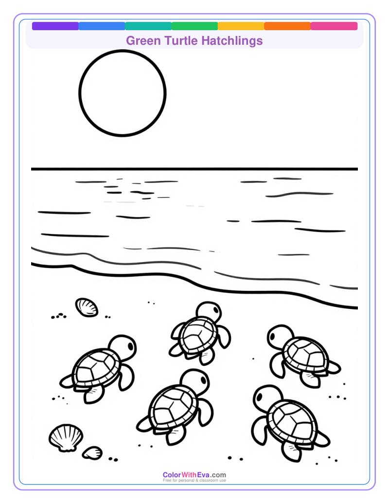 Green Turtle Hatchlings preview
