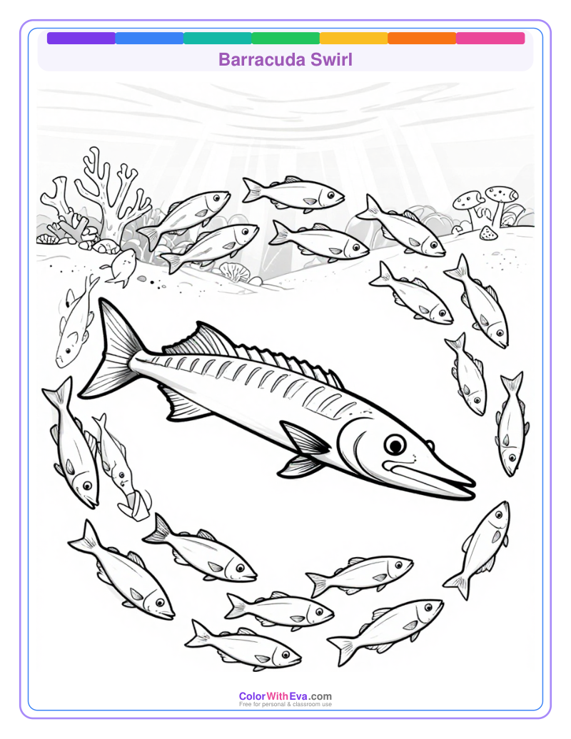 Barracuda Swirl preview