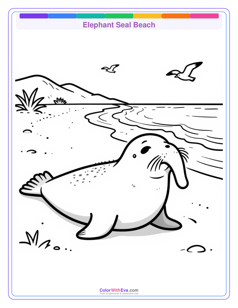 Elephant Seal Beach preview