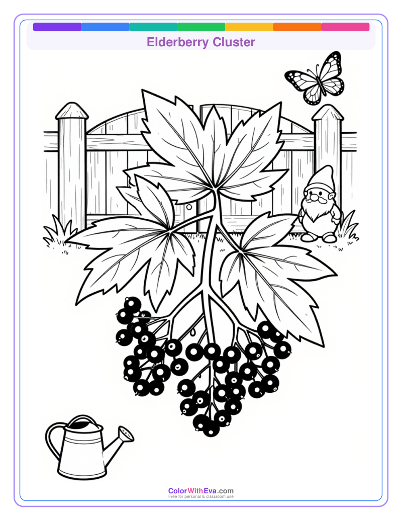 Elderberry Cluster preview