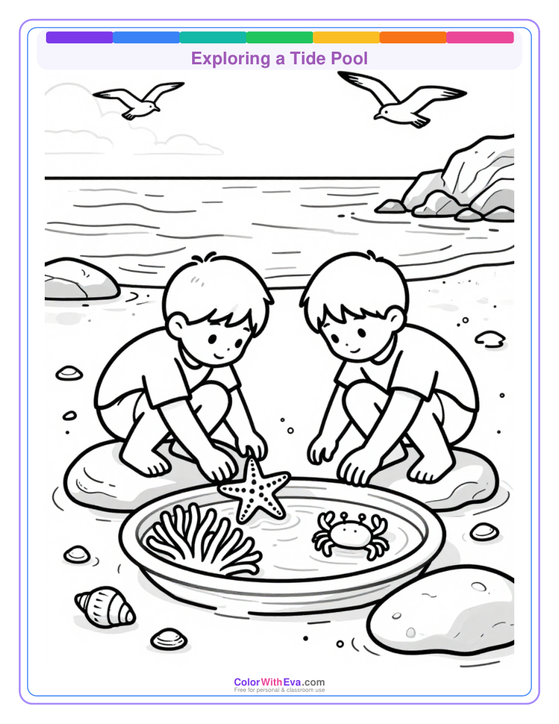 Exploring a Tide Pool preview