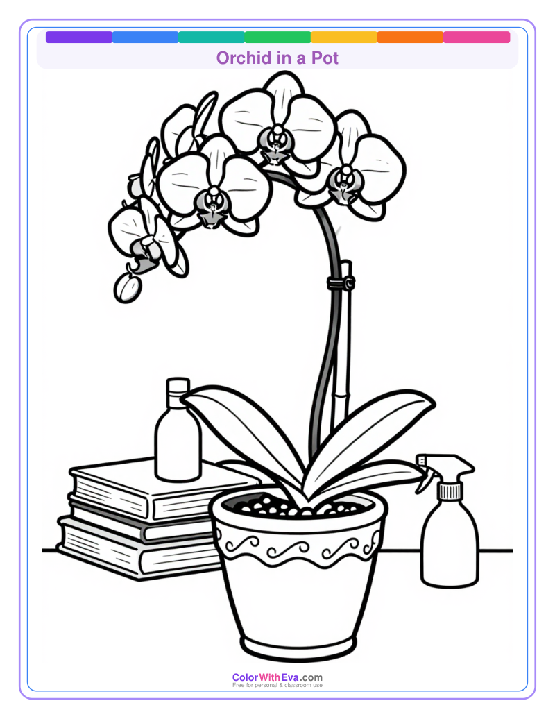 Orchid in a Pot preview