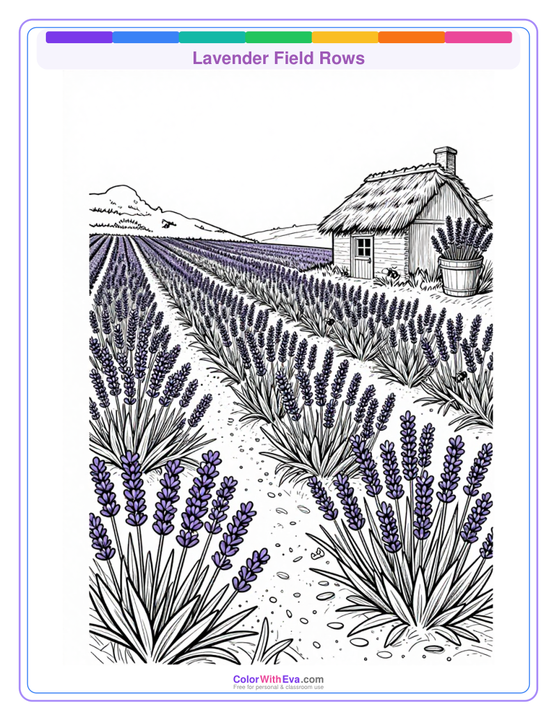 Lavender Field Rows preview
