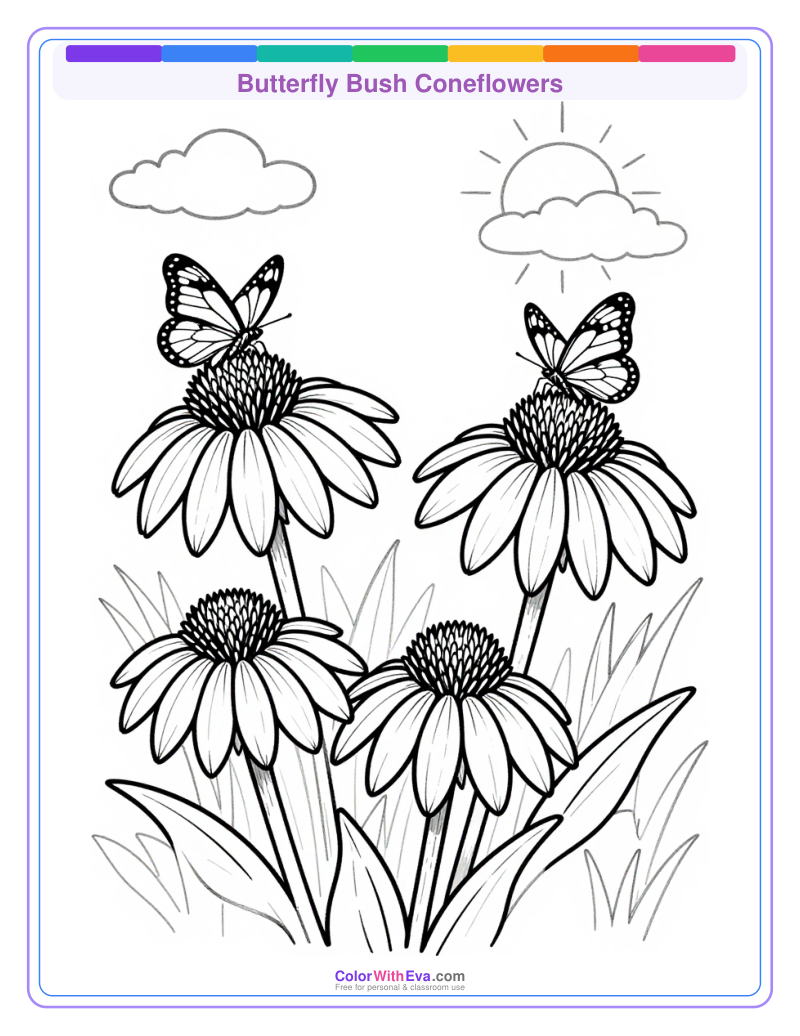 Butterfly Bush Coneflowers preview
