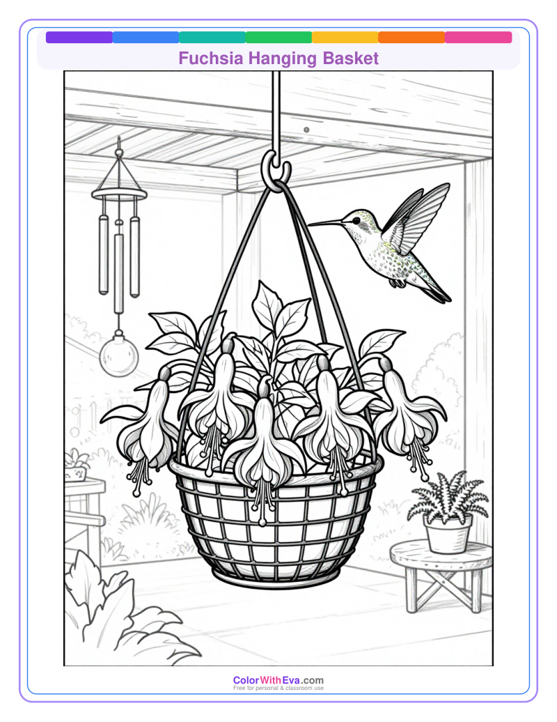 Fuchsia Hanging Basket preview