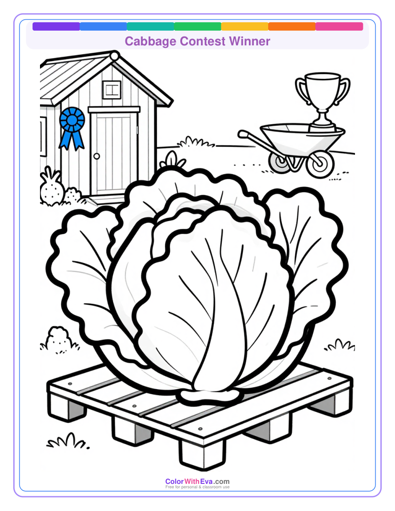 Cabbage Contest Winner preview