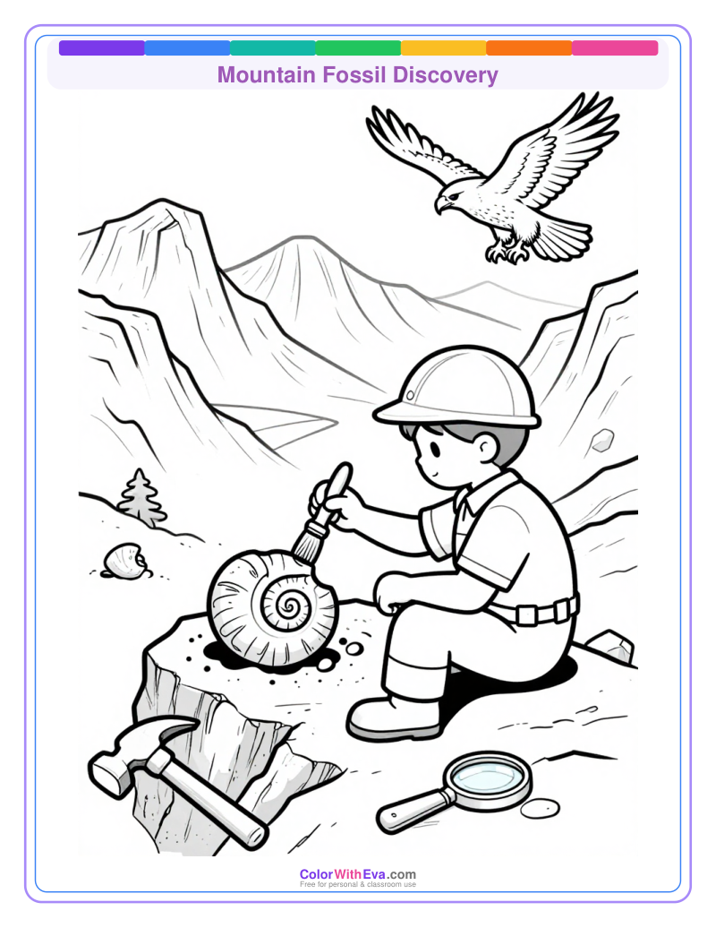 Mountain Fossil Discovery preview