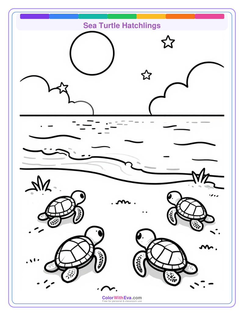 Sea Turtle Hatchlings preview