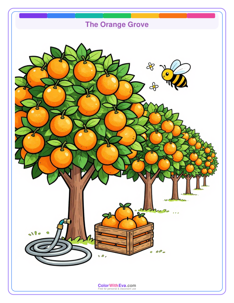 The Orange Grove preview