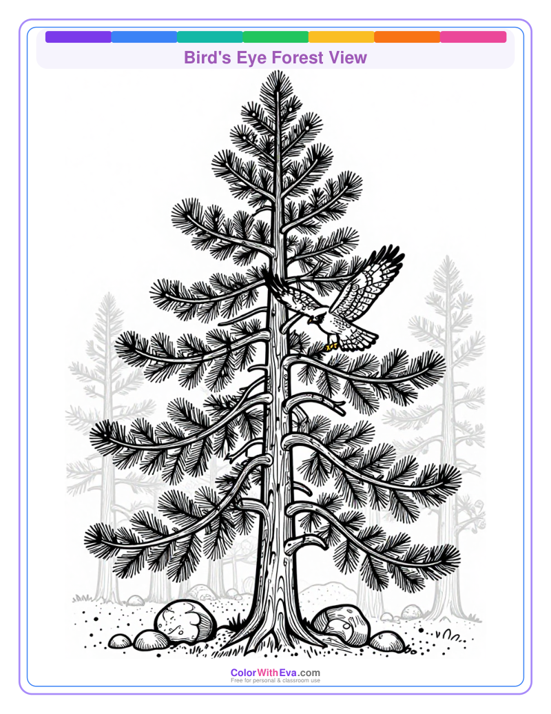 Bird's Eye Forest View preview