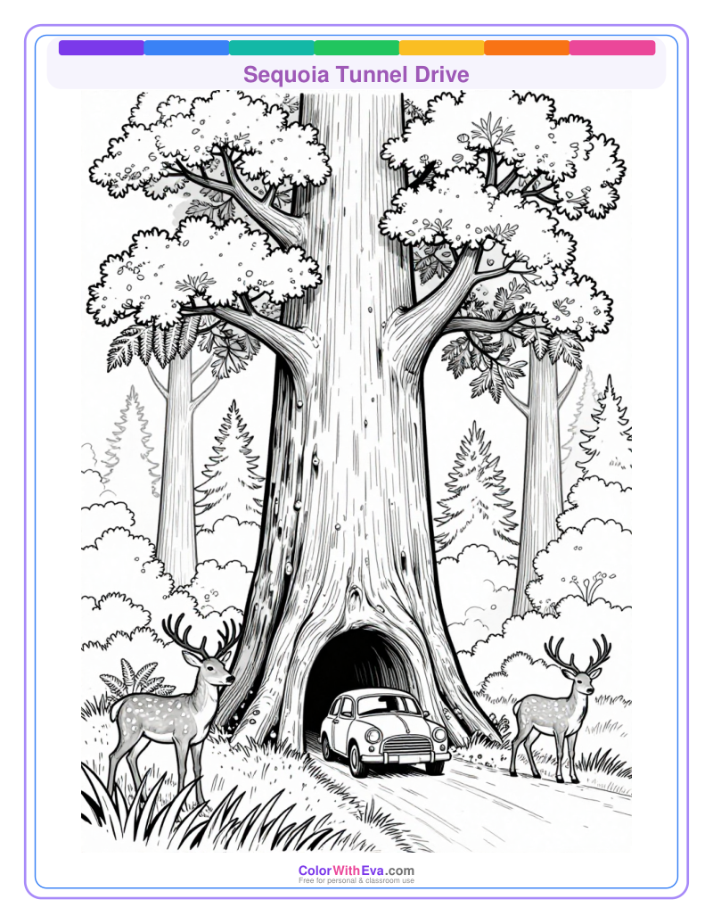 Sequoia Tunnel Drive preview