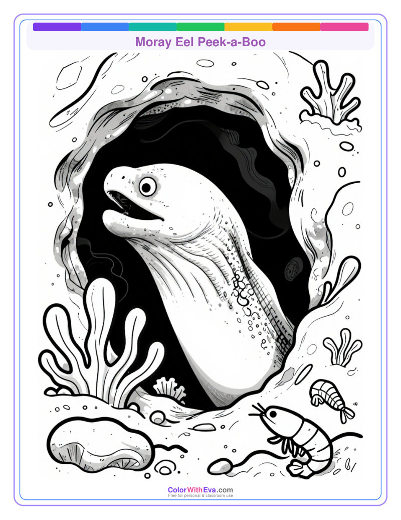 Moray Eel Peek-a-Boo preview