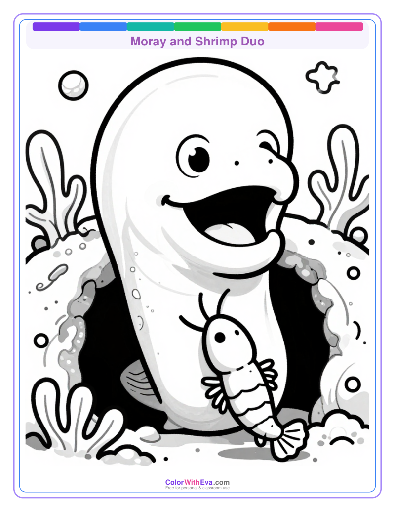 Moray and Shrimp Duo preview