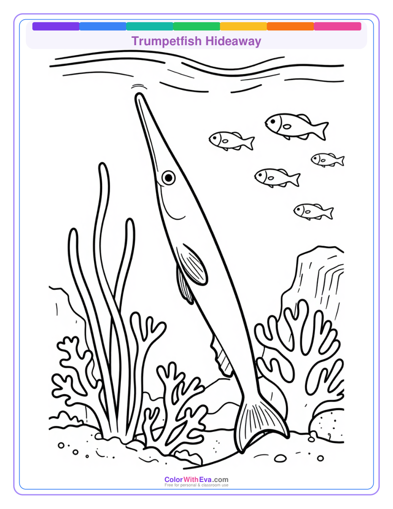 Trumpetfish Hideaway preview