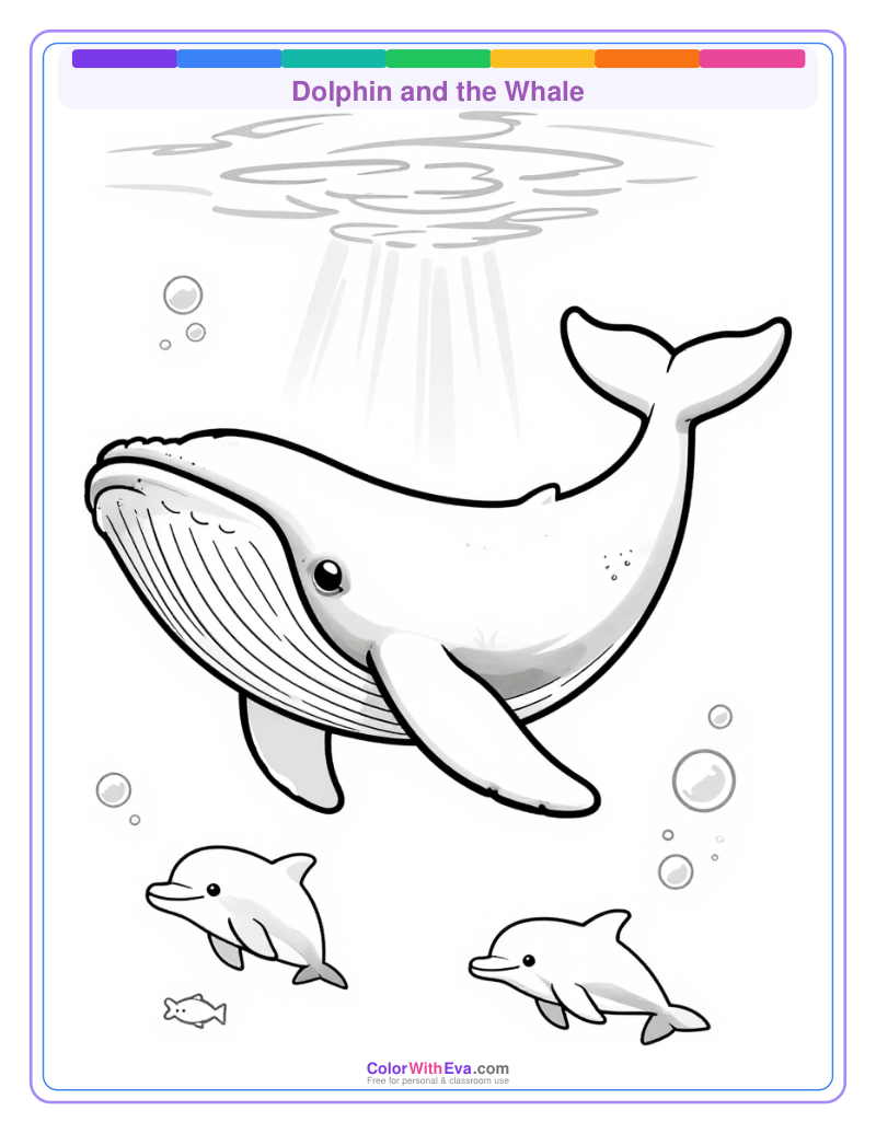 Dolphin and the Whale preview