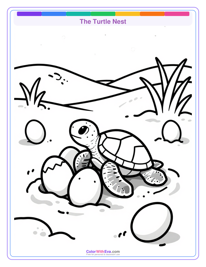 The Turtle Nest preview