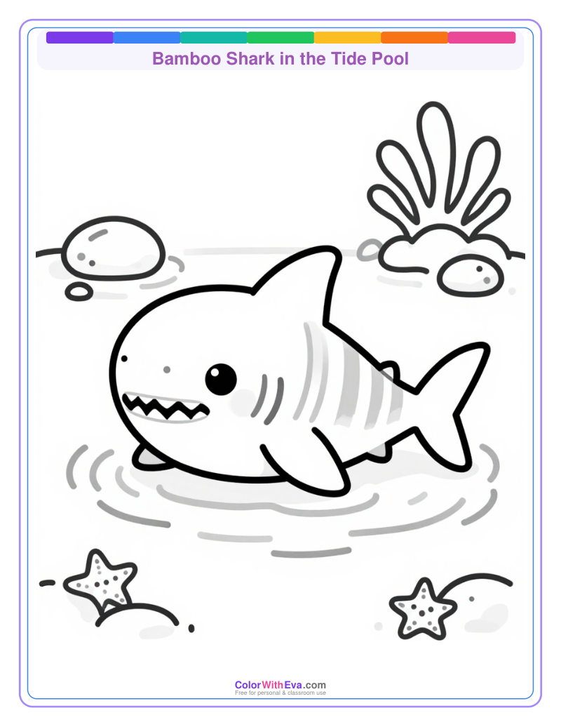 Bamboo Shark in the Tide Pool preview