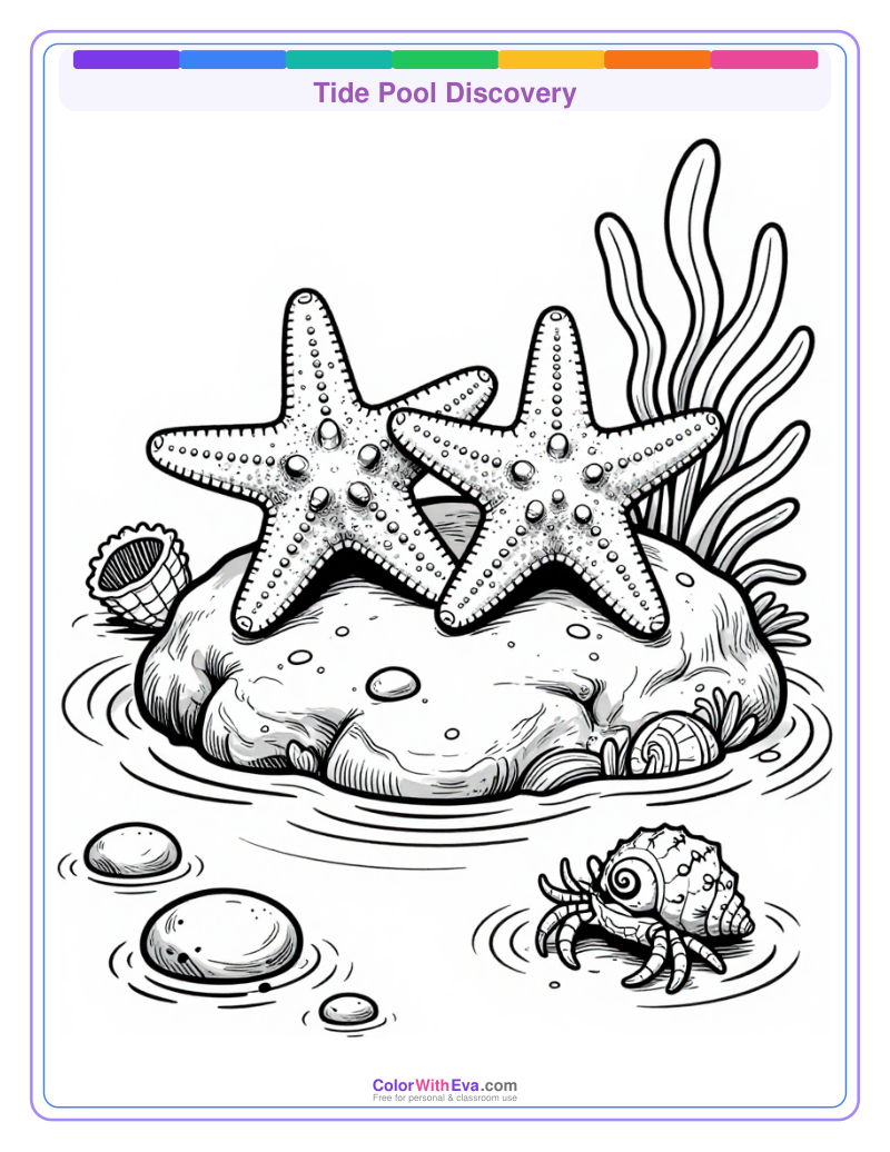 Tide Pool Discovery preview
