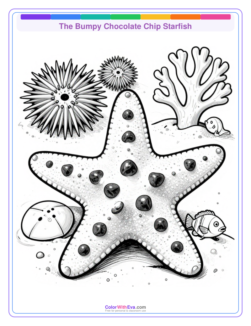 The Bumpy Chocolate Chip Starfish preview