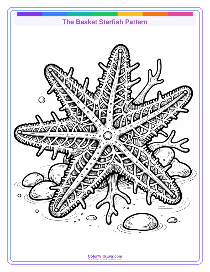 The Basket Starfish Pattern preview