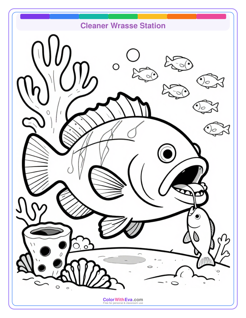 Cleaner Wrasse Station preview
