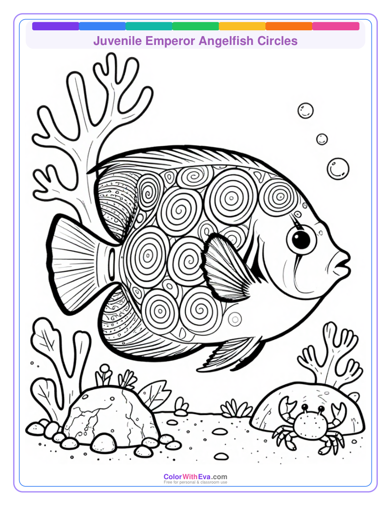 Juvenile Emperor Angelfish Circles preview