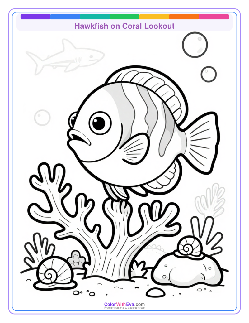 Hawkfish on Coral Lookout preview