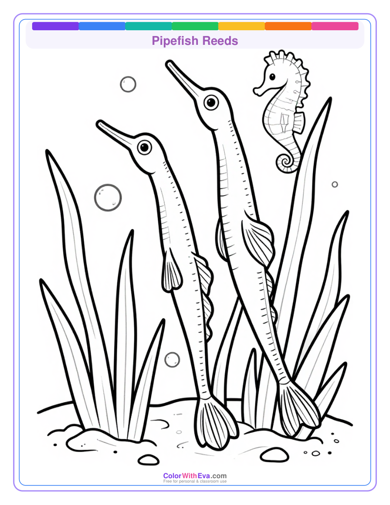 Pipefish Reeds preview