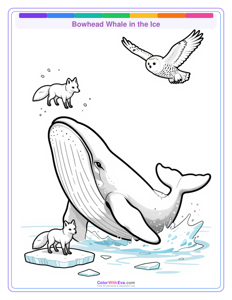 Bowhead Whale in the Ice preview