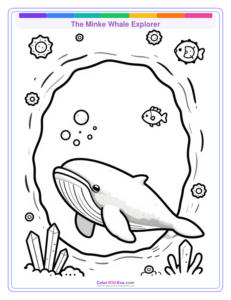 The Minke Whale Explorer preview