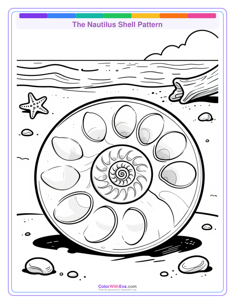The Nautilus Shell Pattern preview
