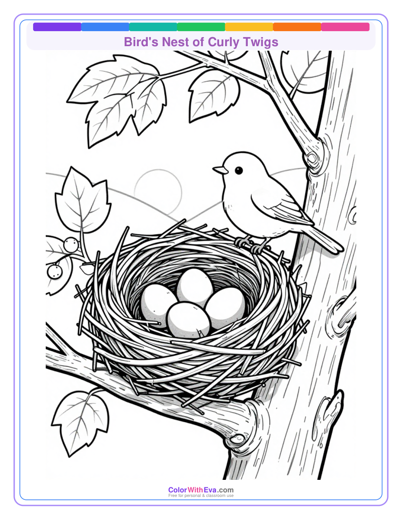Bird's Nest of Curly Twigs preview