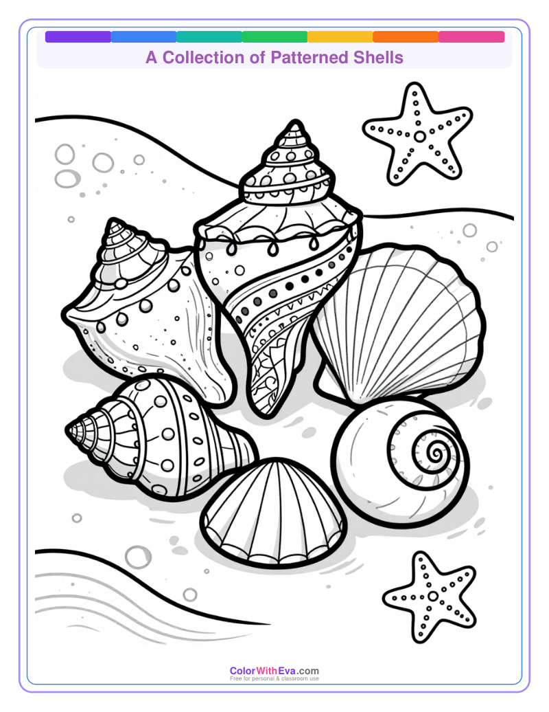 A Collection of Patterned Shells preview