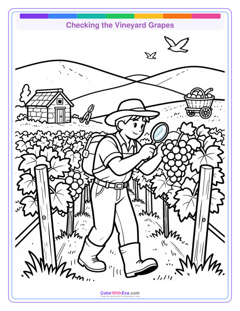 Checking the Vineyard Grapes preview